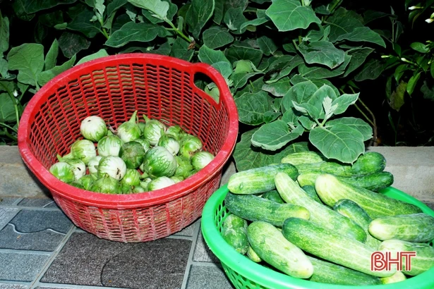 Khu vườn hoa trái bốn mùa của trưởng thôn ở Hà Tĩnh