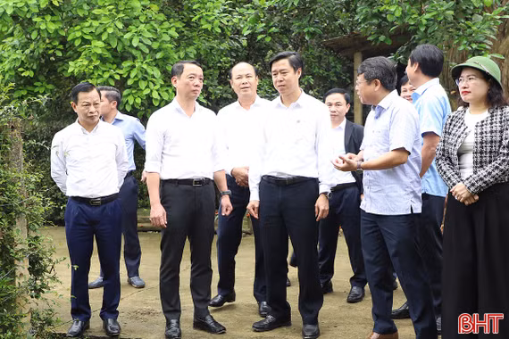 Chủ tịch UBND tỉnh kiểm tra thực tế và chỉ đạo sản xuất đầu xuân Bính Ngọ