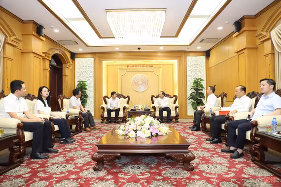Lãnh đạo Hà Tĩnh làm việc với Công ty Mirabo Global và đối tác Nhật Bản 