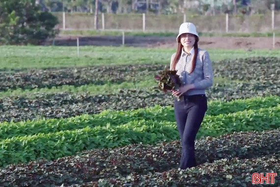 Về nơi rau “xước tí da” thơm ba quãng đồng