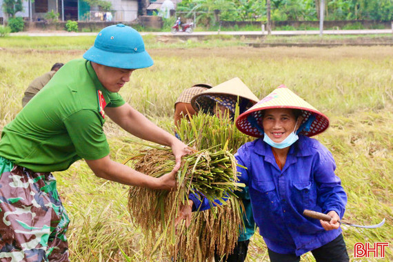 Nông dân Hà Tĩnh khẩn trương thu hoạch lúa xuân trước dự báo mưa lớn 