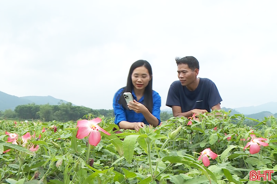 Tuổi trẻ Hà Tĩnh tiên phong chuyển đổi số
