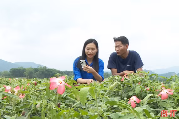 Tuổi trẻ Hà Tĩnh tiên phong chuyển đổi số