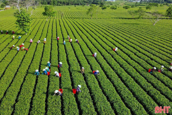 ADB mong muốn xây dựng mô hình du lịch "chữa lành" tại Hà Tĩnh