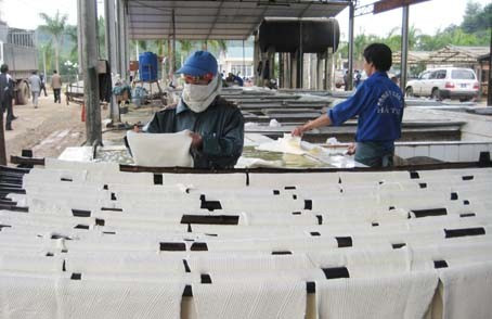 ... và sản lượng mủ chế biến đạt 2.334 tấn ... và sản lượng mủ chế biến đạt 2.334 tấn