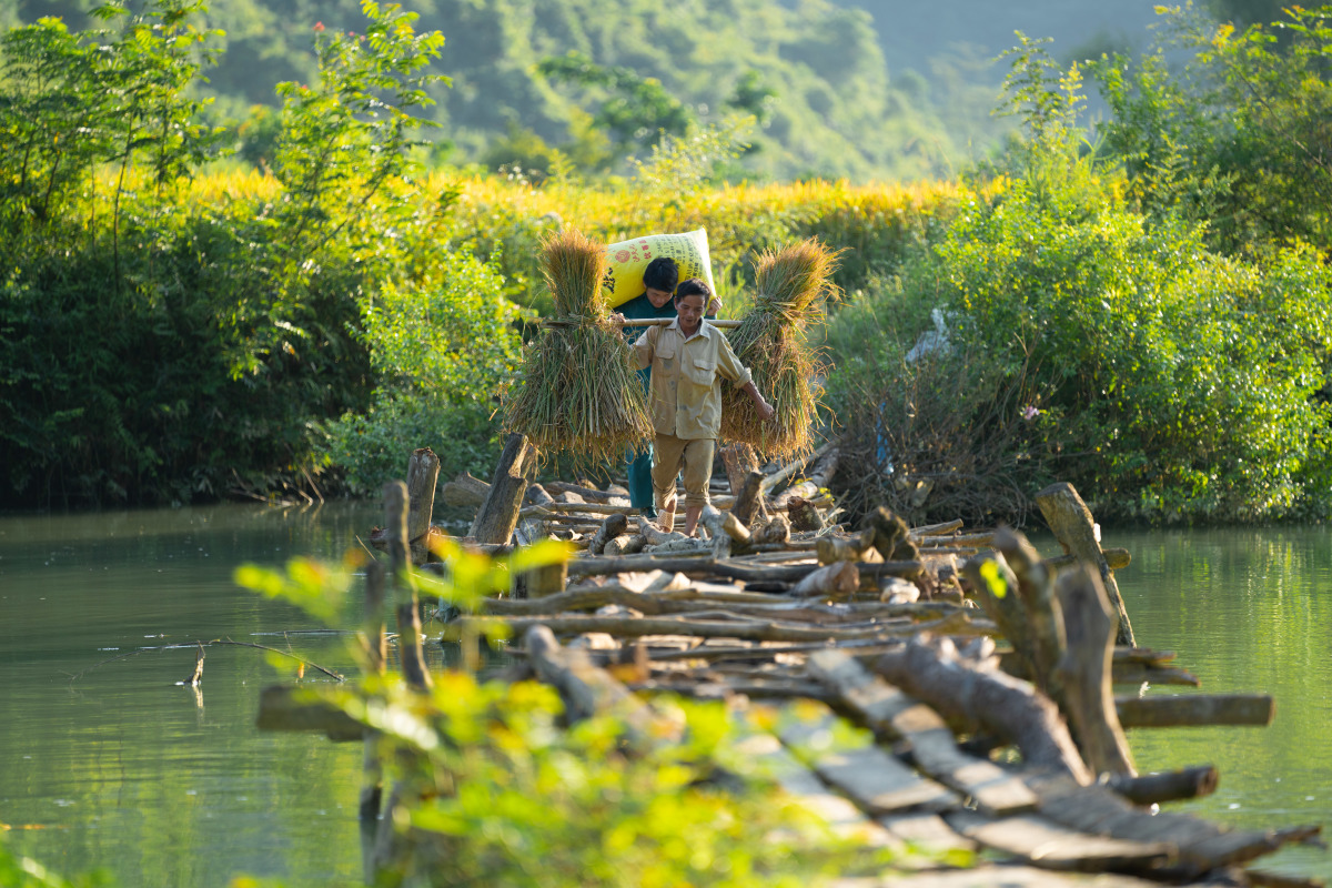 Bốn điểm đến mùa vàng ở Cao Bằng