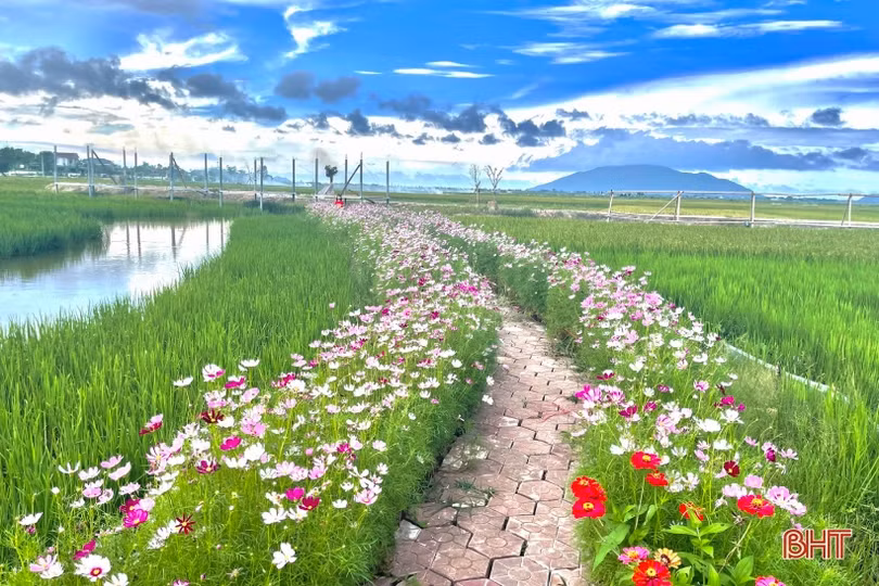 Người thành phố “mê” làm nông nghiệp hữu cơ