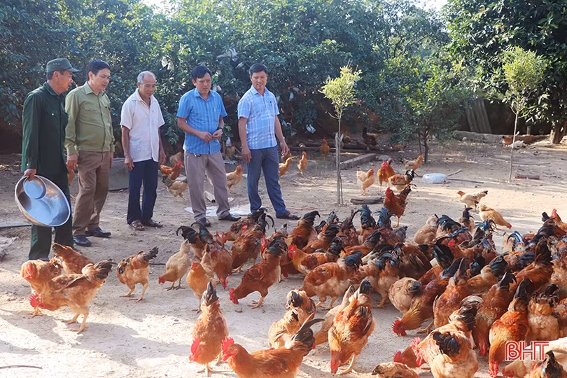 Người cựu binh góp phần làm tỏa sáng thêm phẩm chất “Bộ đội Cụ Hồ” trong thời bình