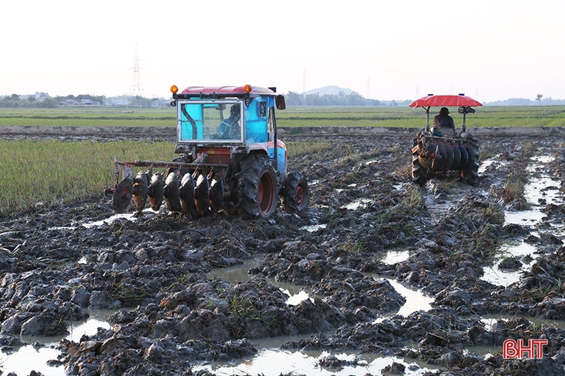 Sản xuất nông nghiệp 2023: Hà Tĩnh khắc phục khó khăn, tiếp đà tăng trưởng ảnh 1 Sản xuất nông nghiệp 2023: Hà Tĩnh khắc phục khó khăn, tiếp đà tăng trưởng