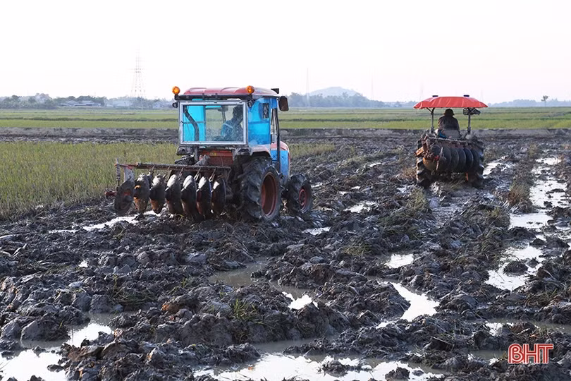 Sản xuất nông nghiệp 2023: Hà Tĩnh khắc phục khó khăn, tiếp đà tăng trưởng