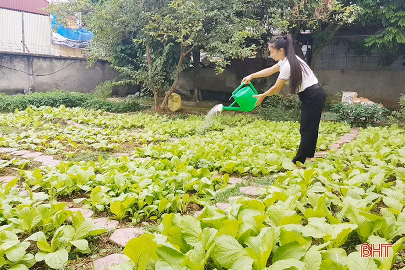 Kiểm soát chặt chẽ nguồn cung thực phẩm bếp ăn trường học ở Hà Tĩnh