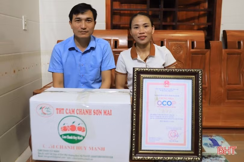 Vườn cam chanh kiểu mẫu của chủ tịch hội nông dân xã ở Hà Tĩnh