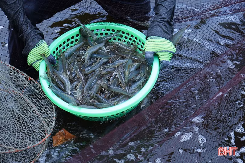 Sản xuất nông nghiệp 2023: Hà Tĩnh khắc phục khó khăn, tiếp đà tăng trưởng