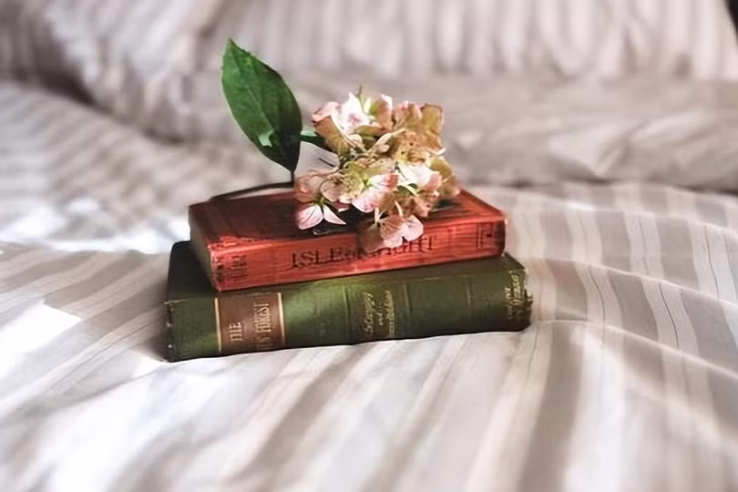 Cuộc đời này, sẽ luôn có người thực sự hiểu bạn