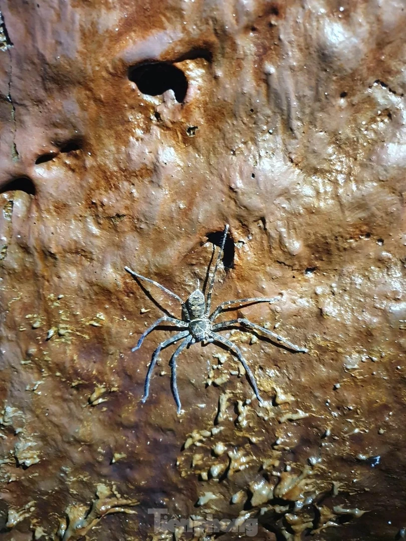 Phát hiện mới về hang động núi lửa dài nhất Đông Nam Á tại Đắk Nông