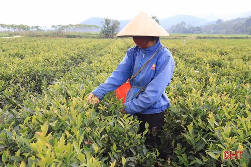 Quyết không phụ sự tin tưởng khi được huyện chọn bổ sung xây dựng xã NTM nâng cao