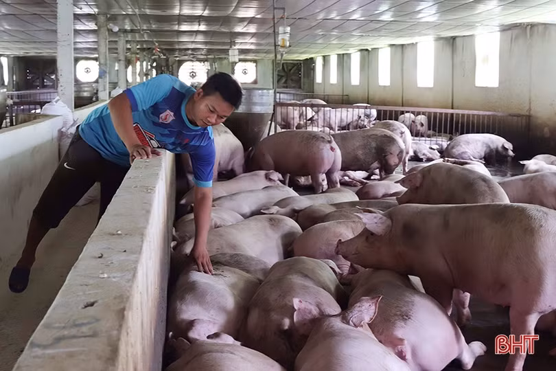 Sản xuất nông nghiệp 2023: Hà Tĩnh khắc phục khó khăn, tiếp đà tăng trưởng