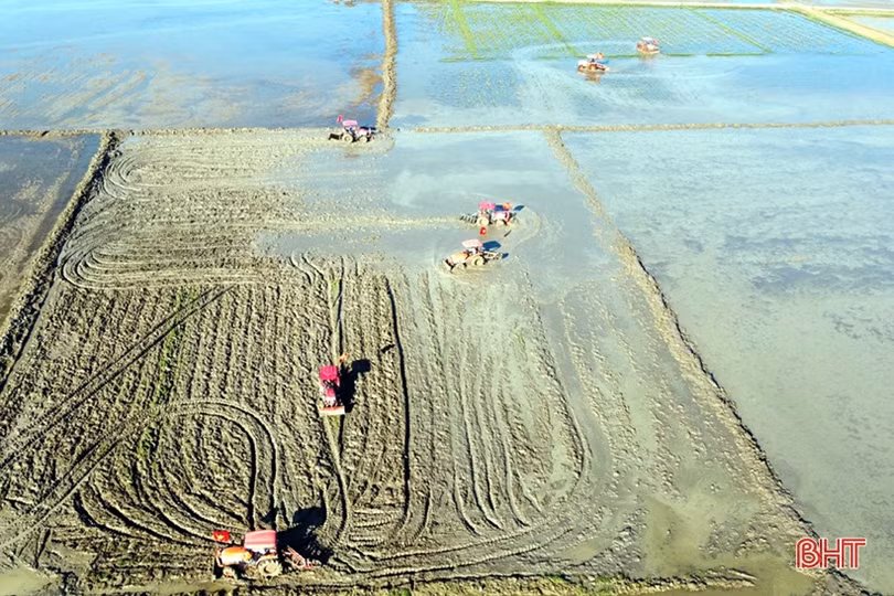 Sản xuất nông nghiệp 2023: Hà Tĩnh khắc phục khó khăn, tiếp đà tăng trưởng