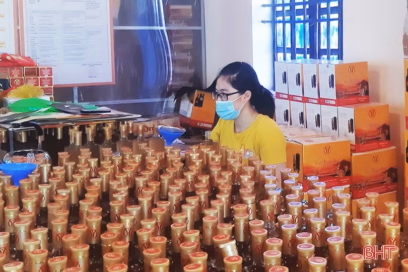 Nhung hươu đạt chuẩn OCOP ở Hà Tĩnh “hút” khách dịp cuối năm