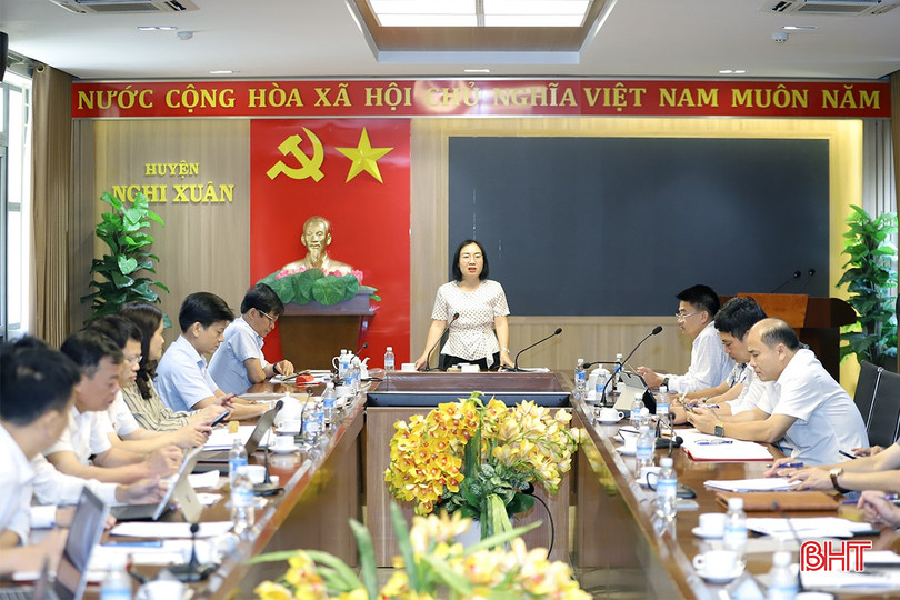 Trưởng ban Kinh tế - Ngân sách HĐND tỉnh Nguyễn Thị Thúy Nga phát biểu tại cuộc giám sát. khoang-san-3-2435-7631.jpg