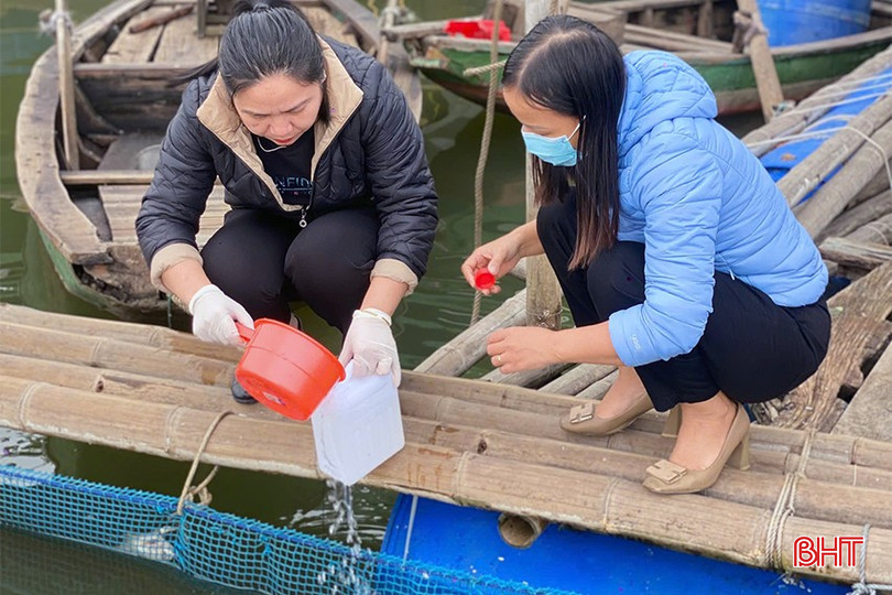 Cán bộ Chi cục Thủy sản lấy mẫu nước ở hồ nuôi có hiện tượng cá chết để phân tích làm rõ nguyên nhân. bqbht_br_ca-chet.jpg