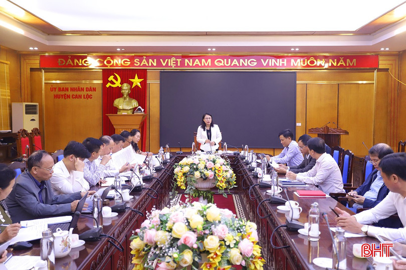 Trưởng ban Pháp chế Nguyễn Thị Nhuần phát biểu tại cuộc giám sát. bqbht_br_khoang-san-3.jpg