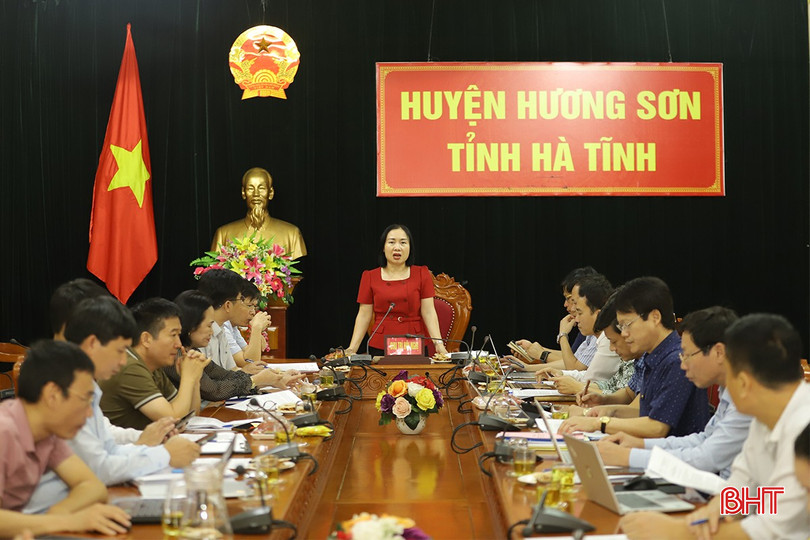 Trưởng ban Kinh tế - Ngân sách HĐND tỉnh Nguyễn Thị Thúy Nga phát biểu tại cuộc giám sát. khoang-san-2-7400-1631.jpg