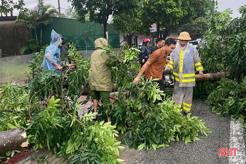 Do ảnh hưởng của bão số 4, nhiều cây xanh ở Hà Tĩnh bị ngã đổ. mua-lu-4.jpg