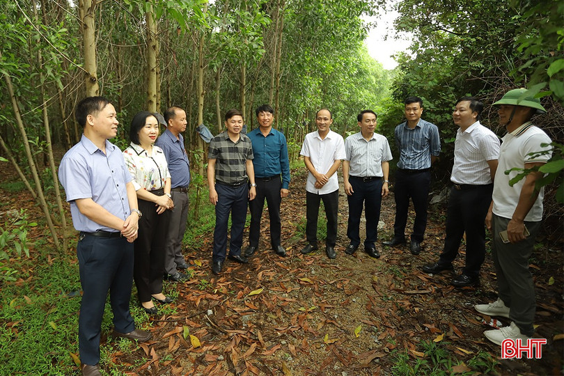 Đoàn giám sát kiểm tra việc thực hiện đóng cửa mỏ, cải tạo, phục hồi môi trường tại mỏ đất xã Cẩm Trung của Công ty CP khai thác VLXD Ngọc Thảo. khoang-san-5-5703-4264.jpg