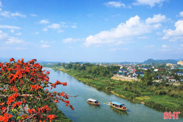 Chiêm ngưỡng cây hoa gạo cổ thụ bung nở bên dòng Ngàn Phố