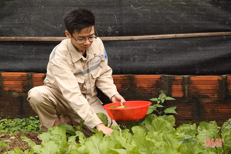 Công việc thầm lặng của những người canh “mắt biển” ở Hà Tĩnh