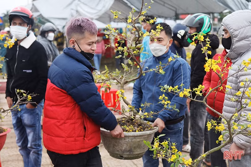 Chợ hoa, cây cảnh ở Hà Tĩnh “xả hàng” chiều 29 tết