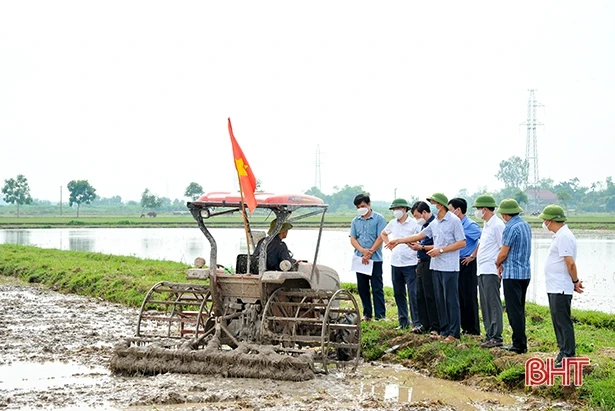 Khát vọng xanh trên cánh đồng lớn ở Can Lộc