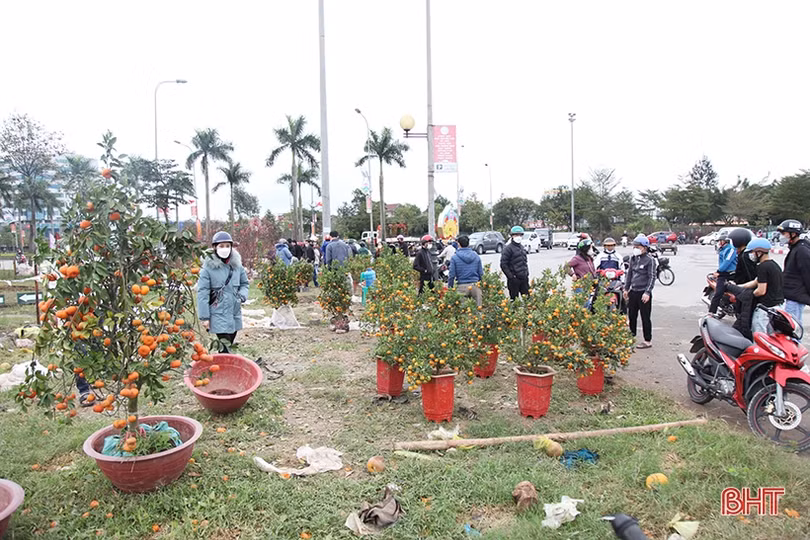 Chợ hoa, cây cảnh ở Hà Tĩnh “xả hàng” chiều 29 tết