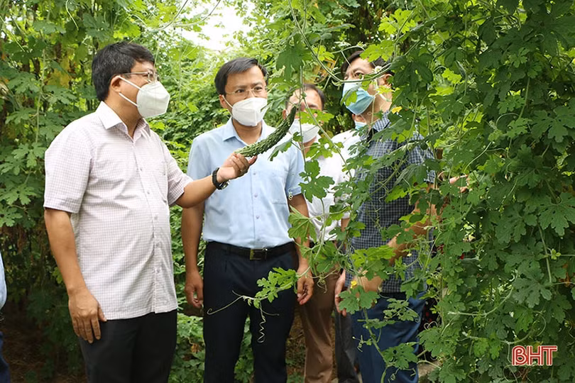 Thành Sen - đường lớn đã mở