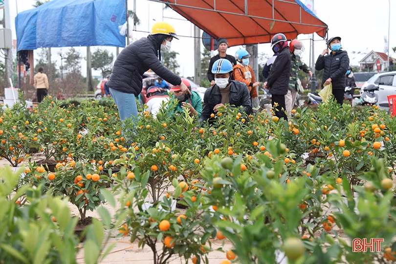 Chợ hoa, cây cảnh ở Hà Tĩnh “xả hàng” chiều 29 tết