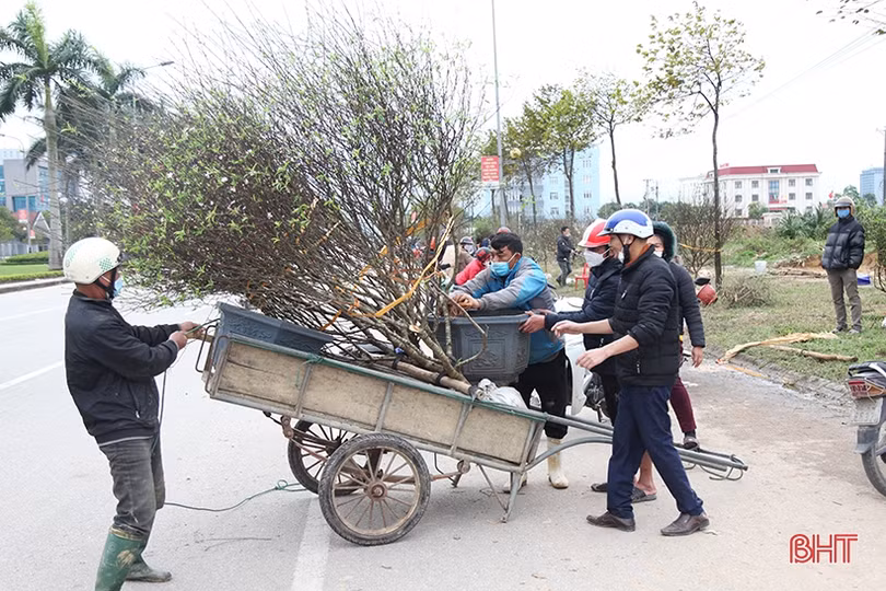 Chợ hoa, cây cảnh ở Hà Tĩnh “xả hàng” chiều 29 tết
