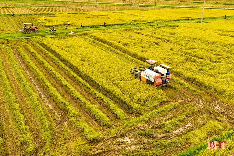 Nông nghiệp mở cánh cửa lớn