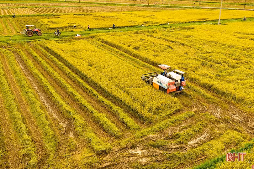 Nông nghiệp mở cánh cửa lớn