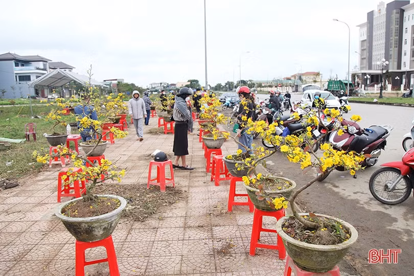 Chợ hoa, cây cảnh ở Hà Tĩnh “xả hàng” chiều 29 tết