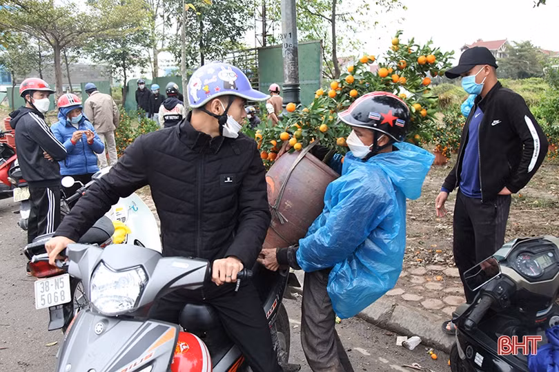 Chợ hoa, cây cảnh ở Hà Tĩnh “xả hàng” chiều 29 tết