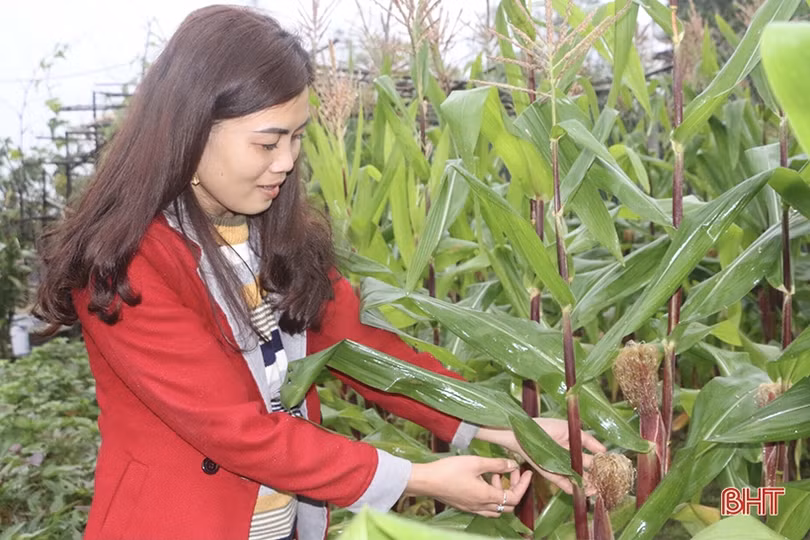 Ngày đầu năm, người dân Vũ Quang xuống đồng sản xuất vụ xuân