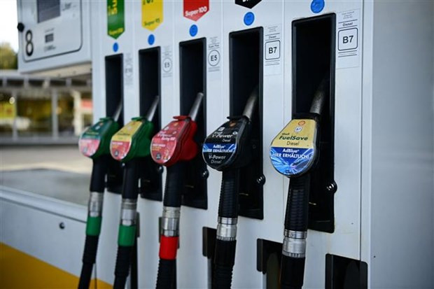 Lạm phát tại Khu vực đồng tiền chung châu Âu đạt mức cao kỷ lục mới hình ảnh 1 Lạm phát tại Khu vực đồng tiền chung châu Âu đạt mức cao kỷ lục mới