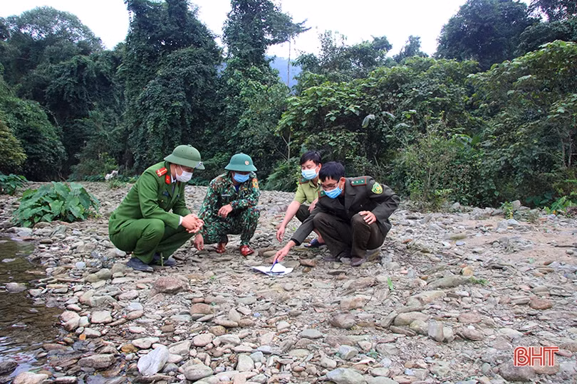 Hương Sơn tăng cường giữ rừng dịp tết