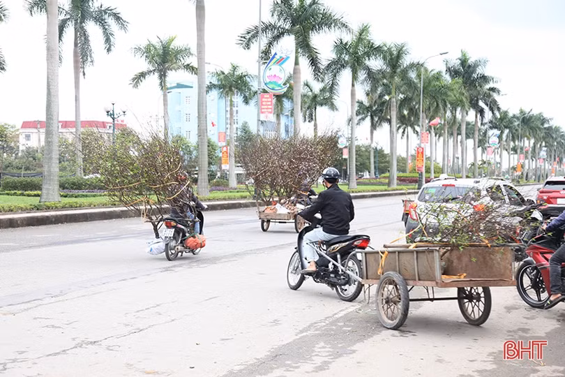 Chợ hoa, cây cảnh ở Hà Tĩnh “xả hàng” chiều 29 tết