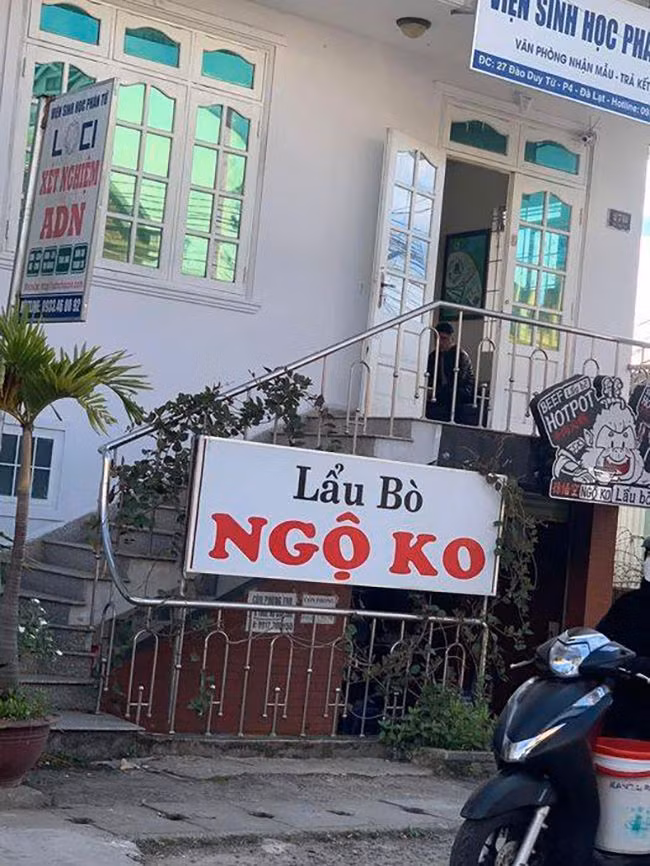 Ảnh vui: “Một con boss hư cả... tàu bị phạt”