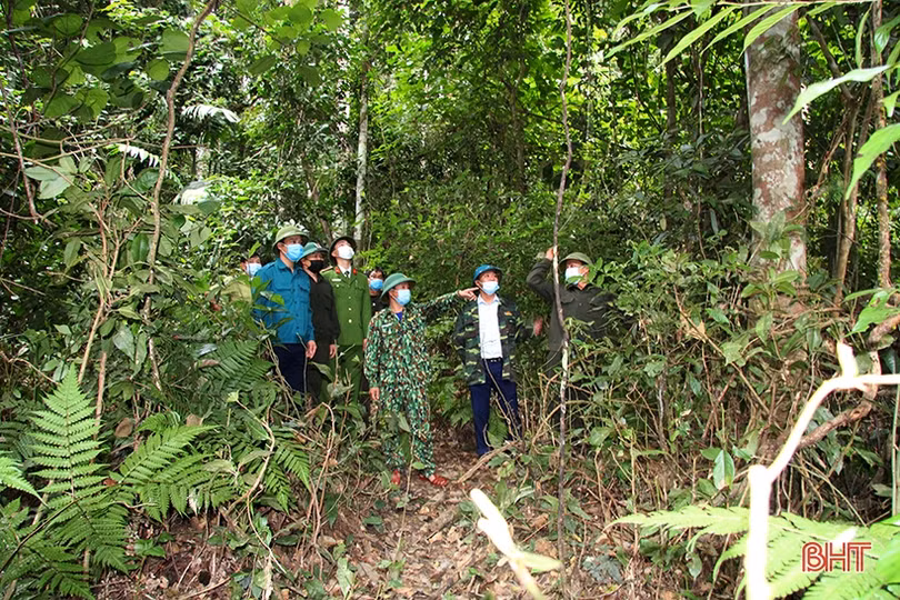 Hương Sơn tăng cường giữ rừng dịp tết