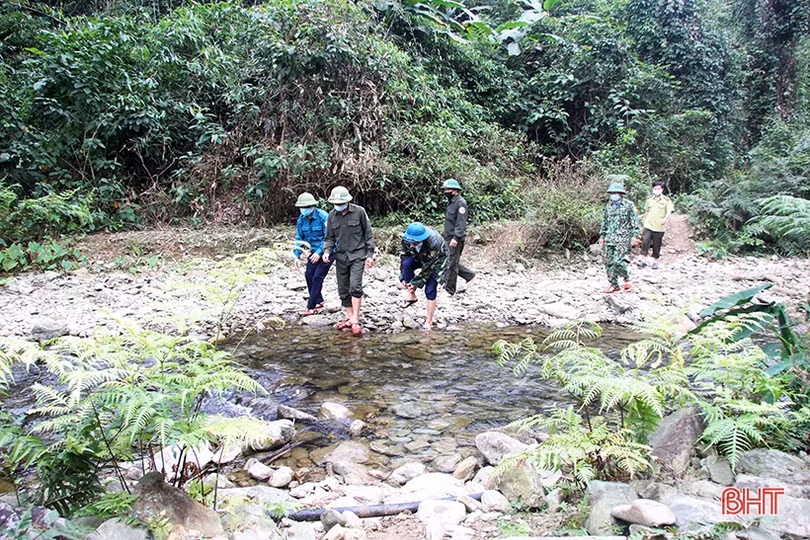 Hương Sơn tăng cường giữ rừng dịp tết