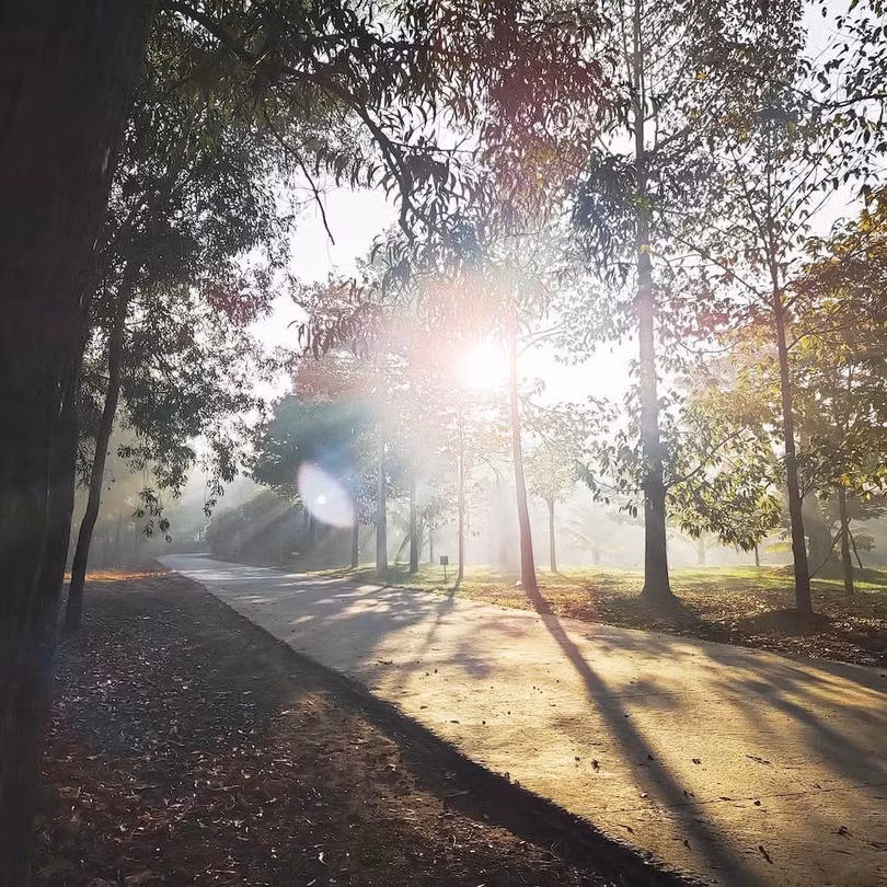 Đi chơi tết, chụp ảnh bằng điện thoại sao cho đẹp?