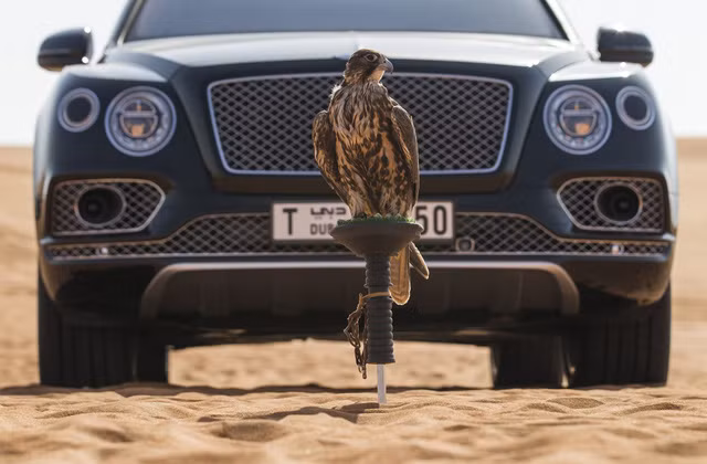 mulliner trinh lang kiet tac bentley bentayga phien ban chim ung